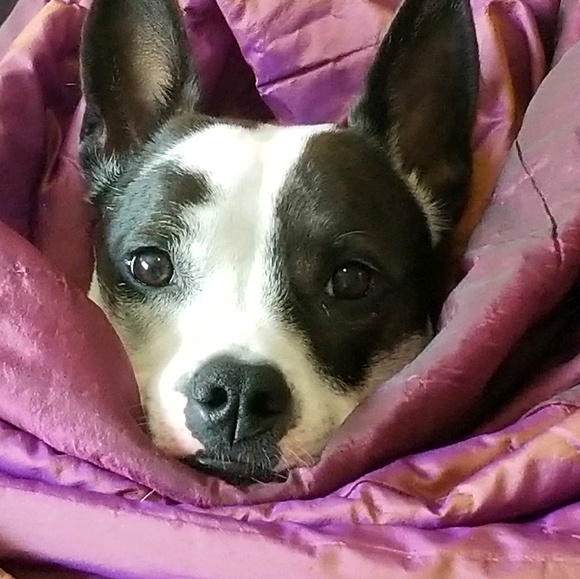 Meet your Posher, Dana - Picture 1 of 1